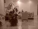 p05_o05.jpg